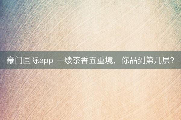 豪门国际app 一缕茶香五重境,你品到第几层?